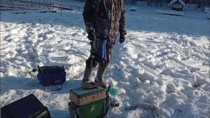 Обзор с Верхнего пруда. Клёвое место лосиный остров