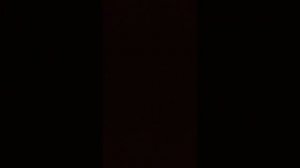 влог с есенией