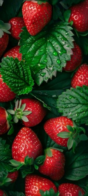 у нас отключили свет