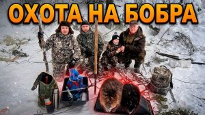 На БОБРА в Верховажье #51.3 \ РОЗЫГРЫШ / Проверка капканов