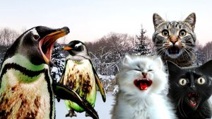 МОНСТРЫ - ПИНГВИНЫ в нашем дворе!ZOOCHOSIS!