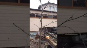 Паркур часть 2