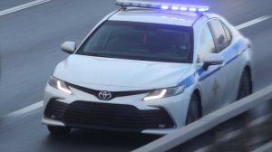 Контрабандист пытался переехать таможенника при задержании в Смоленской области