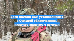 Боец Шаман: ВСУ устанавливают в Сумской области мины, имитирующие зов о помощи