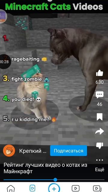 коты в майнкрафте