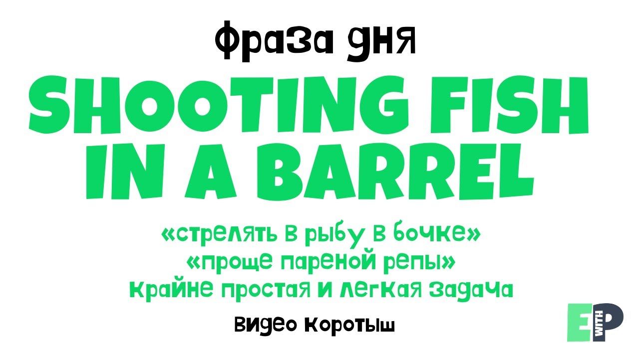 #14 “SHOOTING FISH IN A BARREL” ♂️ “Проще пареной репы”. Видео-коротыш смотреть онлайн