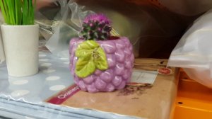 Архив:Проводим коммуникации в дом/Часть 3/В магазин за покупками