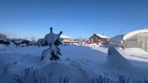 31-01-2026 Зима, снег, мороз и солнце