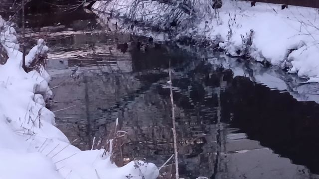 Немного прогулки по Немчиновке в Подмосковье смотреть онлайн