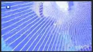 фрагмент эфира дом ру гид инфоканал 31.01.2026