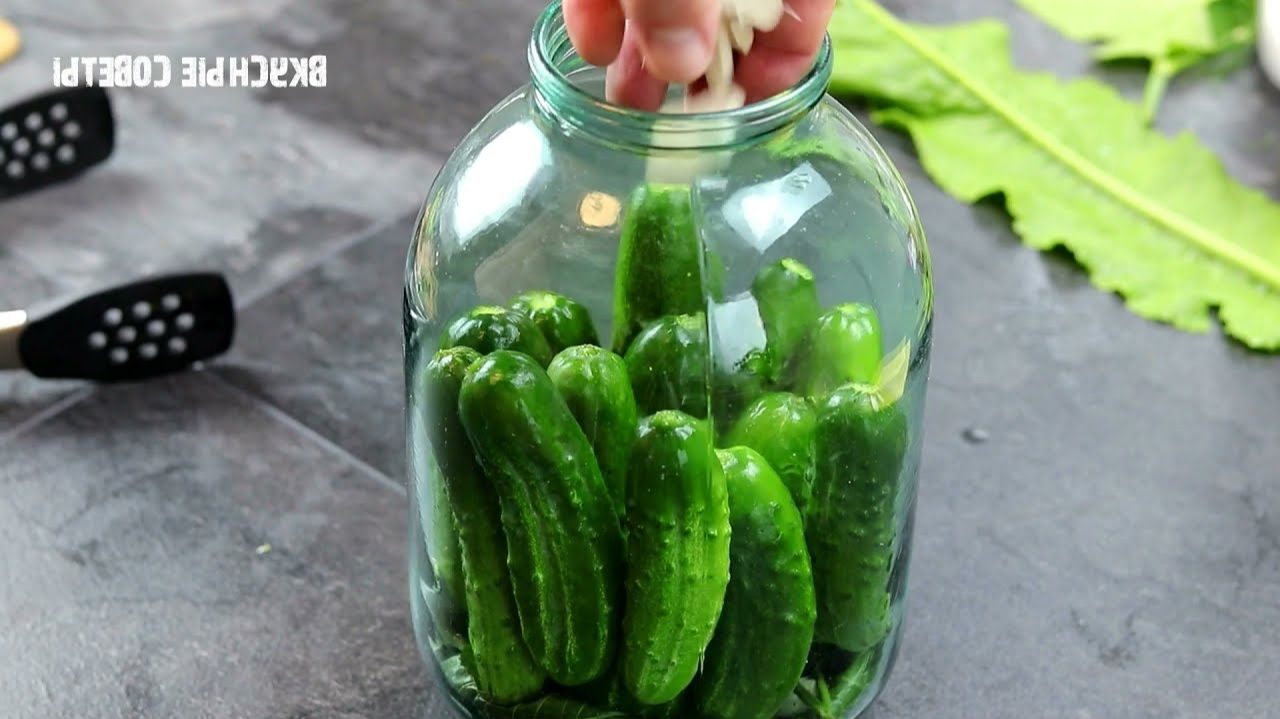 Готовлю так уже 30 ЛЕТ! ЛУЧШИЙ рецепт ХРУСТЯЩИХ Малосольных Огурцов! И на ЗИМУ так закрываю! смотреть онлайн