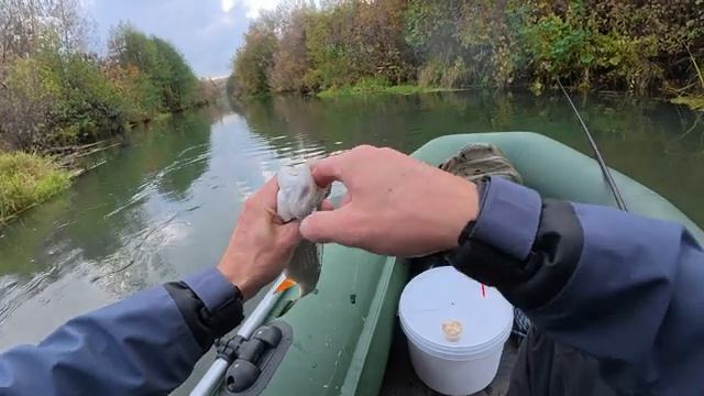 Ловля крупной плотвы на поплавок. Рыбалка осенью на удочку смотреть онлайн