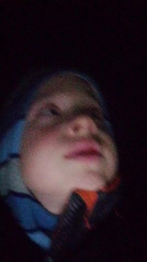 ночной стрим