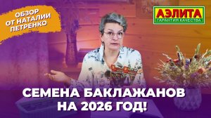 БАКЛАЖАНЫ НА 2026 ГОД! Обзор сортов от Наталии Петренко