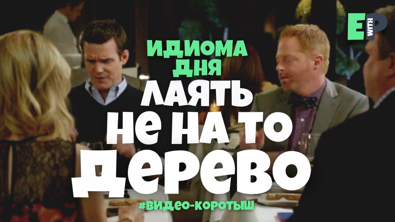 #55 “BARKING UP THE WRONG TREE” ♂️ “зря стараться” смотреть онлайн