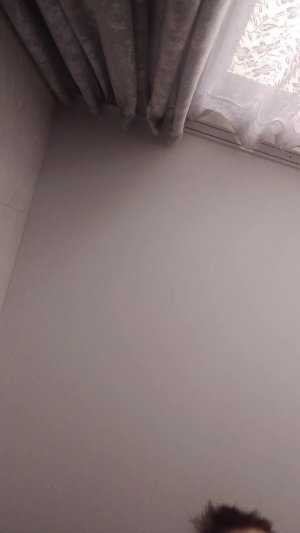 стрим 12 00 часов