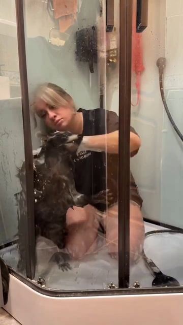 Еноту пришлось помыться смотреть онлайн