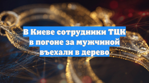 В Киеве сотрудники ТЦК в погоне за мужчиной въехали в дерево