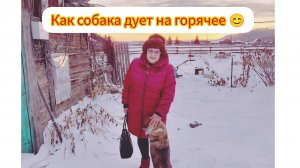 #СОБАЧКА МУХА И ЕË ПРИВЫЧКИ #спасенное_животное