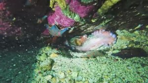 Алексеевские камни (снаружи)