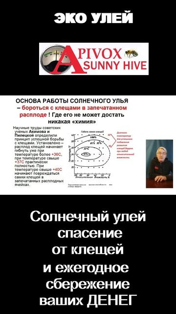 СОДЕРЖАНИЕ ПЧЕЛ БЕЗ КЛЕЩЕЙ