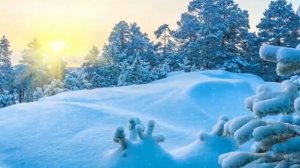 Зимние мелодии