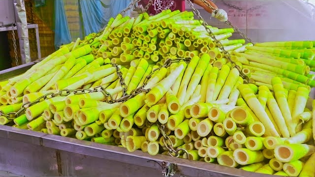 Сбор побегов бамбука, процесс производства побегов бамбука смотреть онлайн