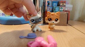 распаковка LPS набора стоячка такса и шпиц