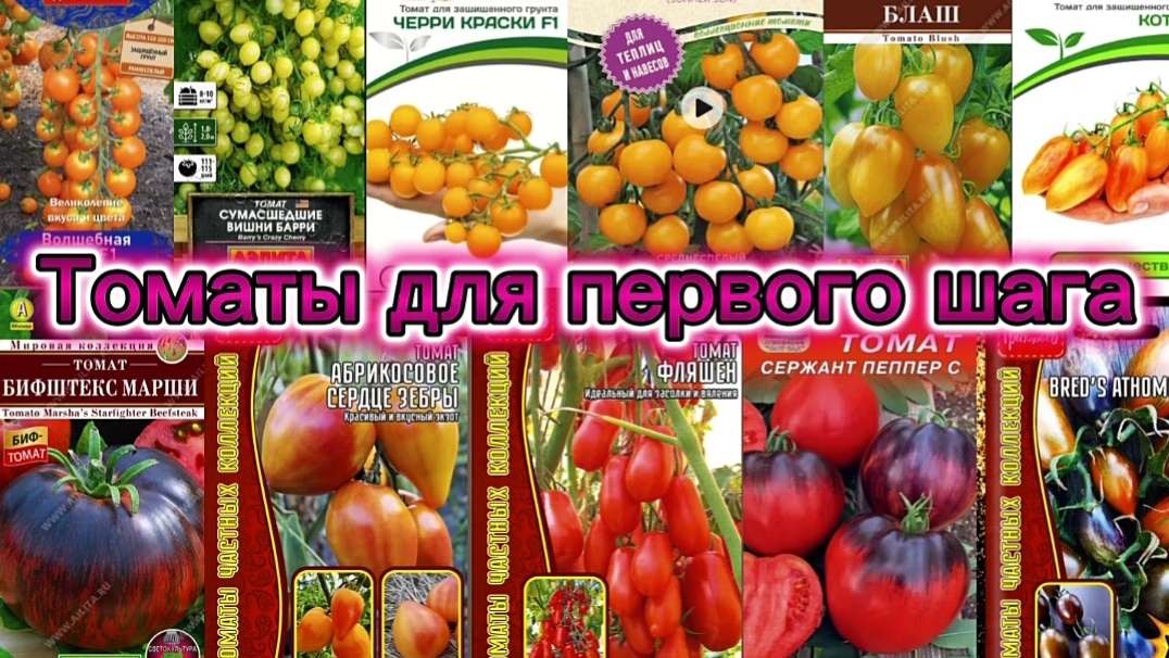 Как уйти от томатного однообразия? Начните с этих сортов.Выход из зоны комфорта. смотреть онлайн