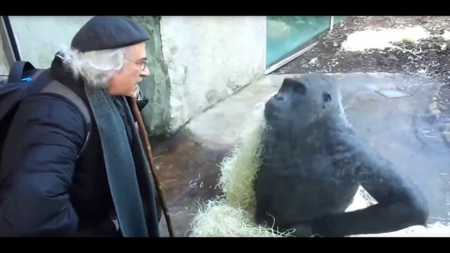 Разоблачение_на_хейтера_Максимы_Дзюбы еще на публике