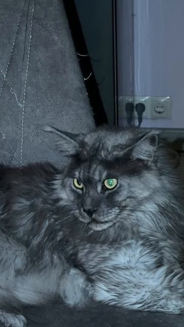 Бандит смотреть онлайн