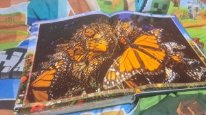 Читаю книжку про бабочек часть 1