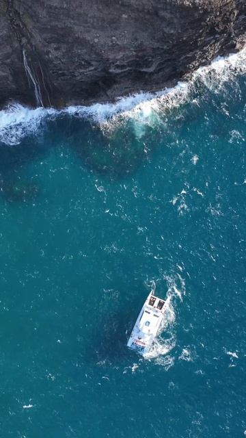 ЖИЗНЬ- КРАСОТА, ВОСХИЩАЙТЕСЬ ЕЮ. смотреть онлайн