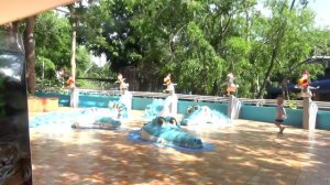 Влог_ Катаемся на слонах и кормим рыб из сосочки