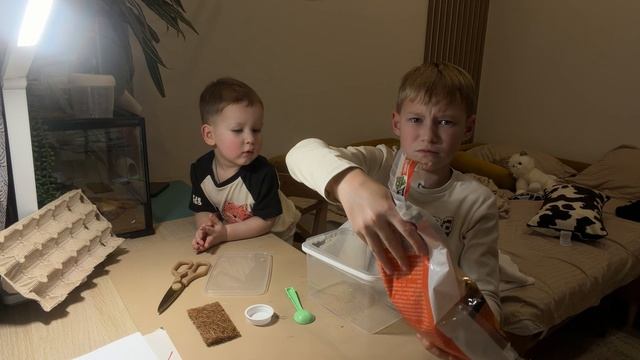 Делаем новый домик для Куки  Тимошка в гостях