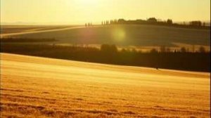 Эх, станица - Мелиховская!  Премьера! Вера Гарт