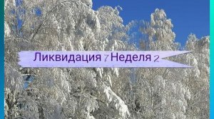 СП "Ликвидация 7". Неделя 2. Участник 9