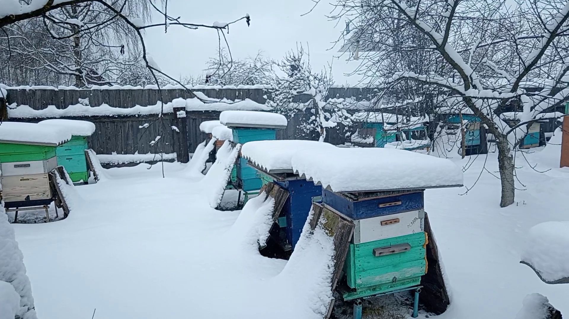 Состояние Моей Пасеки на 31.12.2025 года смотреть онлайн