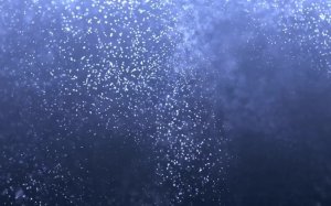 LIVE: C.A.Y. Records Digital Record Label