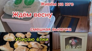 31-01-2026 /Переехали из Сибири на юг/Купили дом на юге/Обещают морозы на юге/Убираем ёлки/Выпечка/