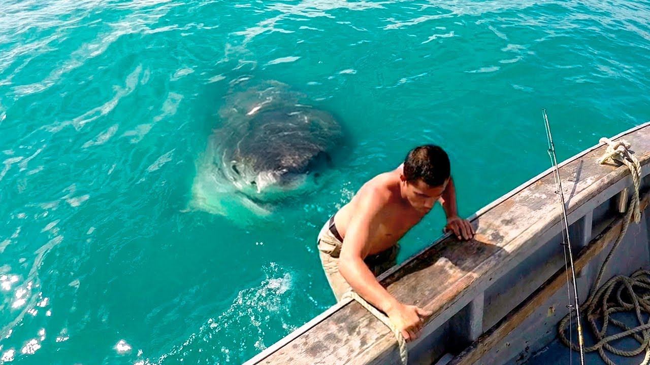За Секунду До! Эти Случаи Удалось Снять на Камеру смотреть онлайн
