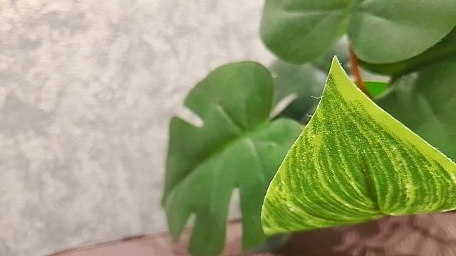 Главная потребность удовлетворяется. Страничка надежды смотреть онлайн