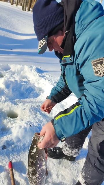 31-01-2026 смотреть онлайн