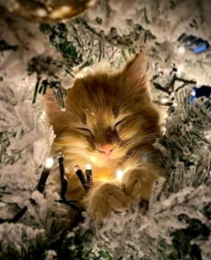 как я рисую