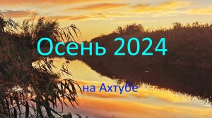 осень 2024 на Ахтубе