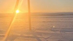 Утро.Прогулка