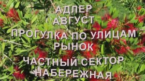 АДЛЕР. НАБЕРЕЖНАЯ. ЧАСТНЫЙ СЕКТОР. РЫНОК. ЦЕНЫ (архив 2015)