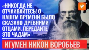 «Никогда не отчаивайтесь! О нашем времени было сказано Древними Отцами. Передайте это чадам»
