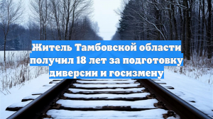Житель Тамбовской области получил 18 лет за подготовку диверсии и госизмену