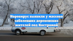 Норовирусную инфекцию выявили у жителей деревни Шолохово